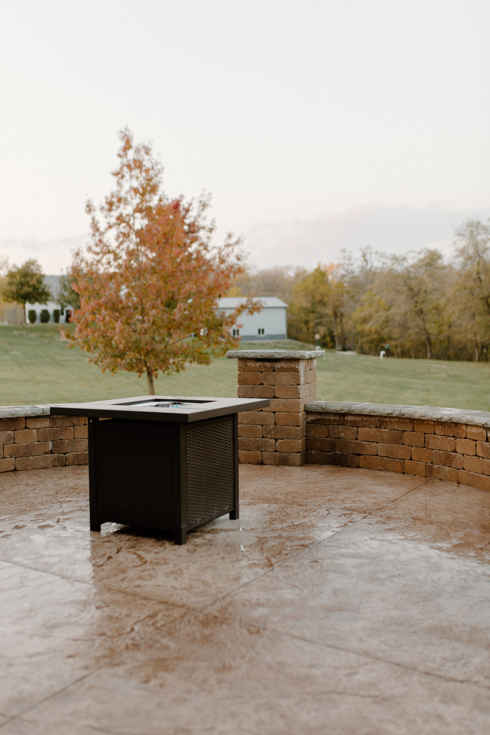 fire pit on a concrete patio with stone seating surround with a newly planted tree in the background. - Creative Nature Iowa
